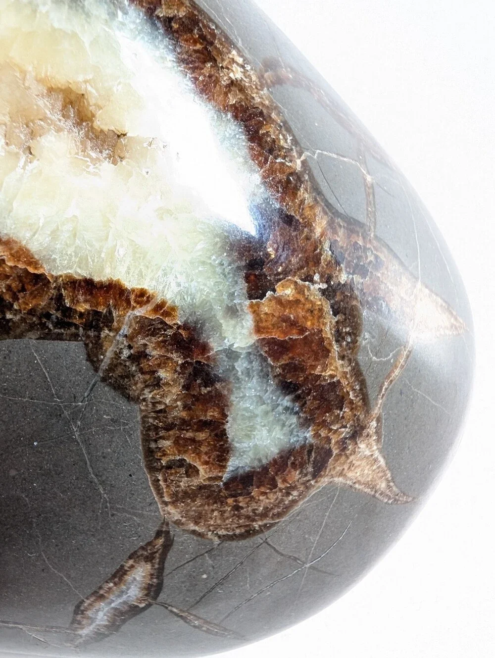 Large Septarian Nodule Stone Polished Crystal Filled